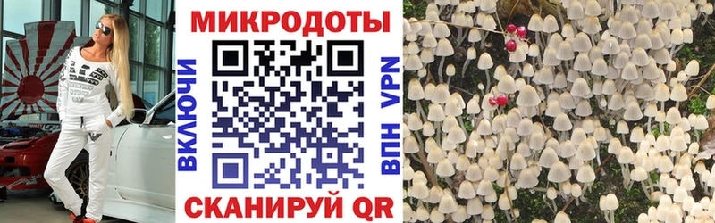 Галлюциногенные грибы ЛСД  Купить закладки  Шатура 